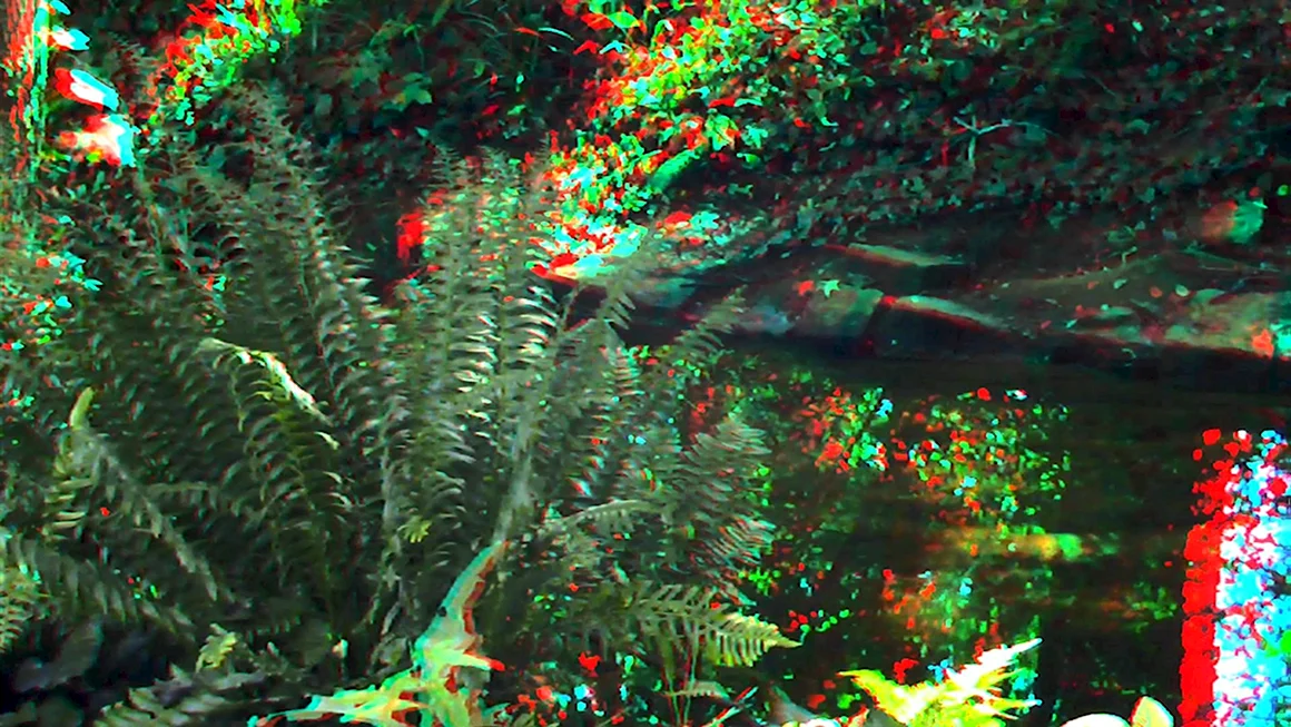 3d anaglyph RedCyan
