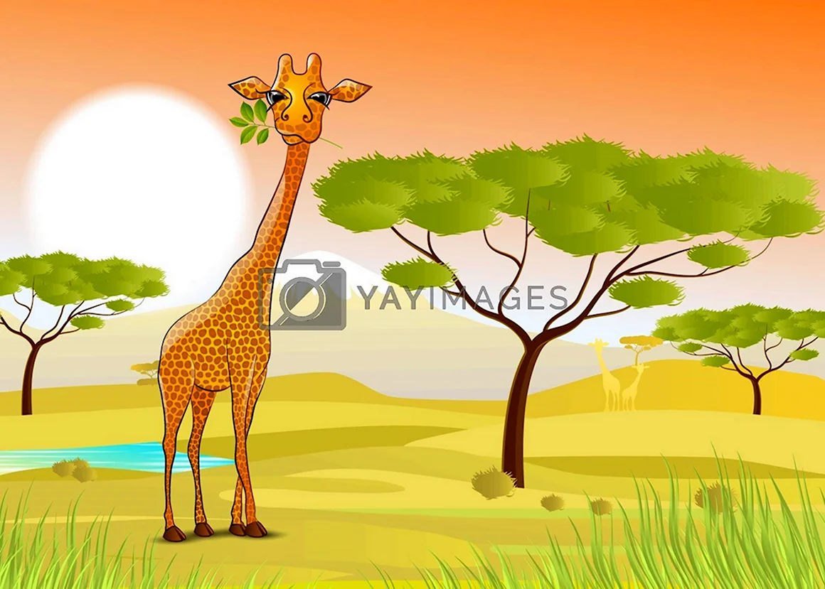 Африканские Жирафы мультяшки