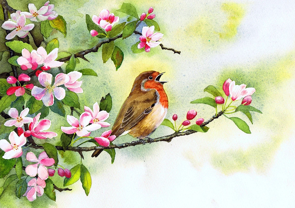 Акварель птичка на ветке Весна