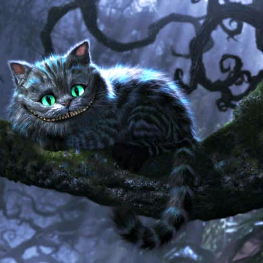 Алиса в стране чудес Шеверский кот