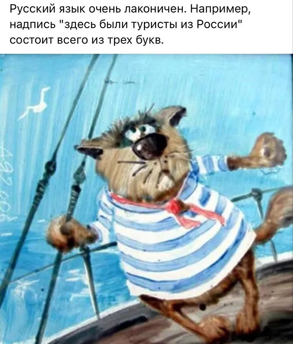 Анатолий Ярышкин коты матросы