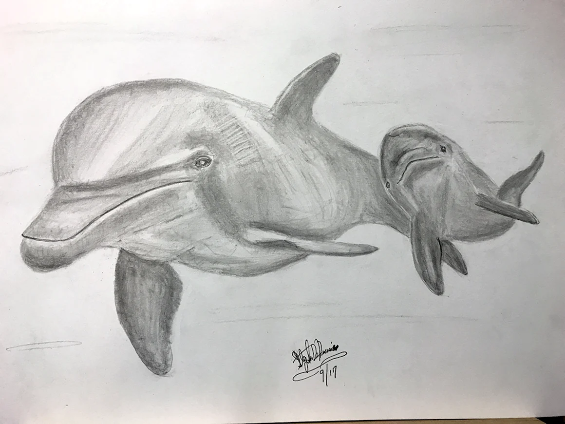 Анималистический рисунок дельфина