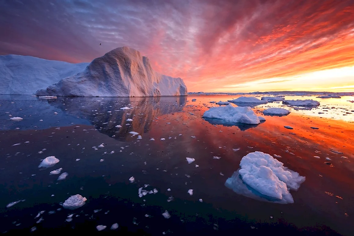 Антарктида Арктика Гренландия