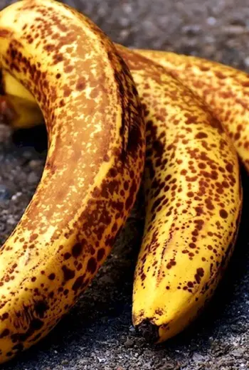 Антракноз банана