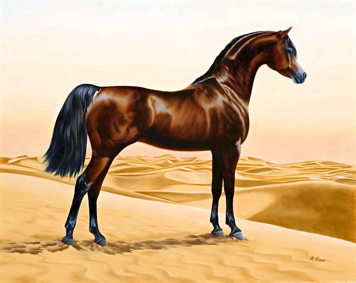 Арабская лошадь пейнт