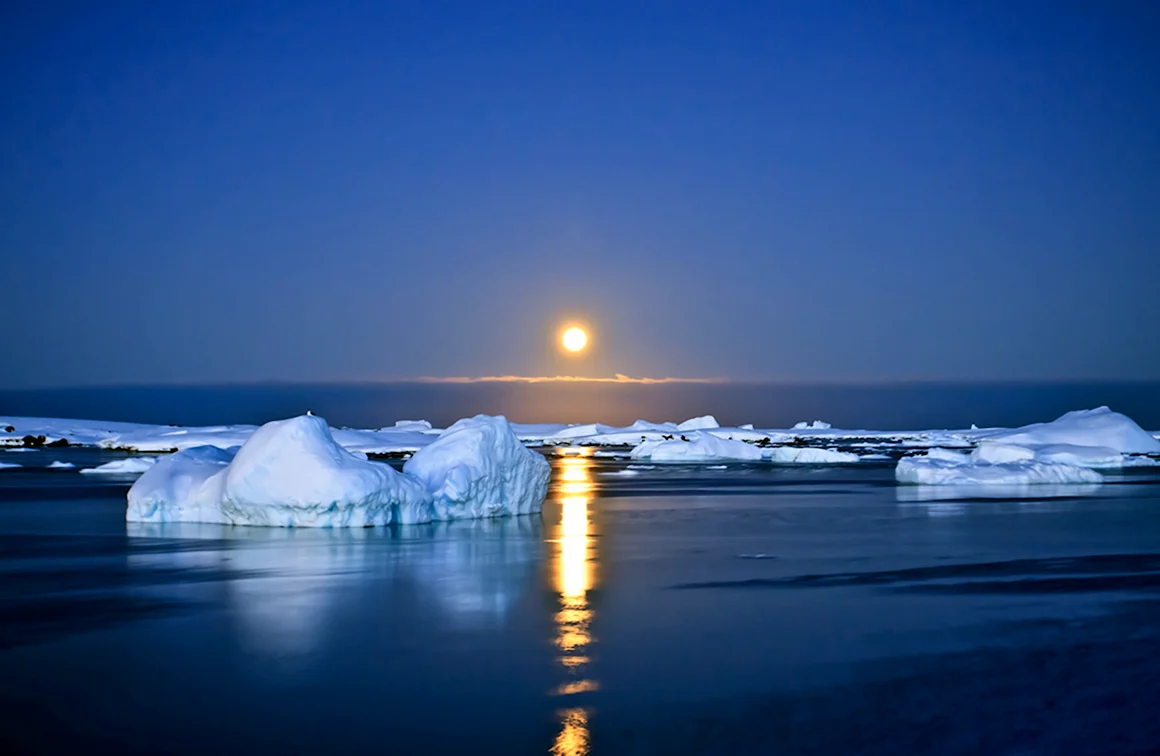 Арктика Южный полюс