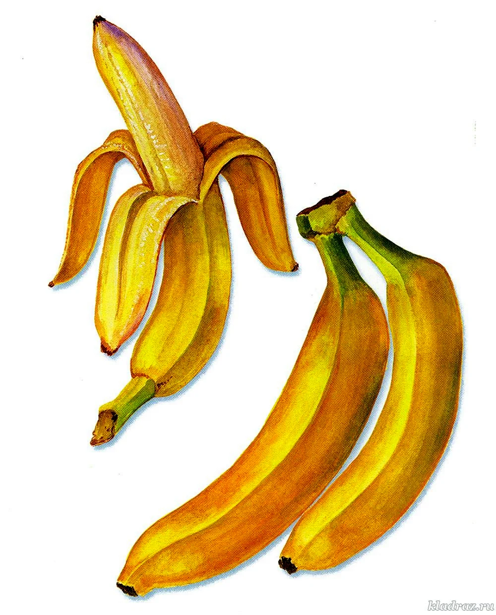Банан карточка для детей