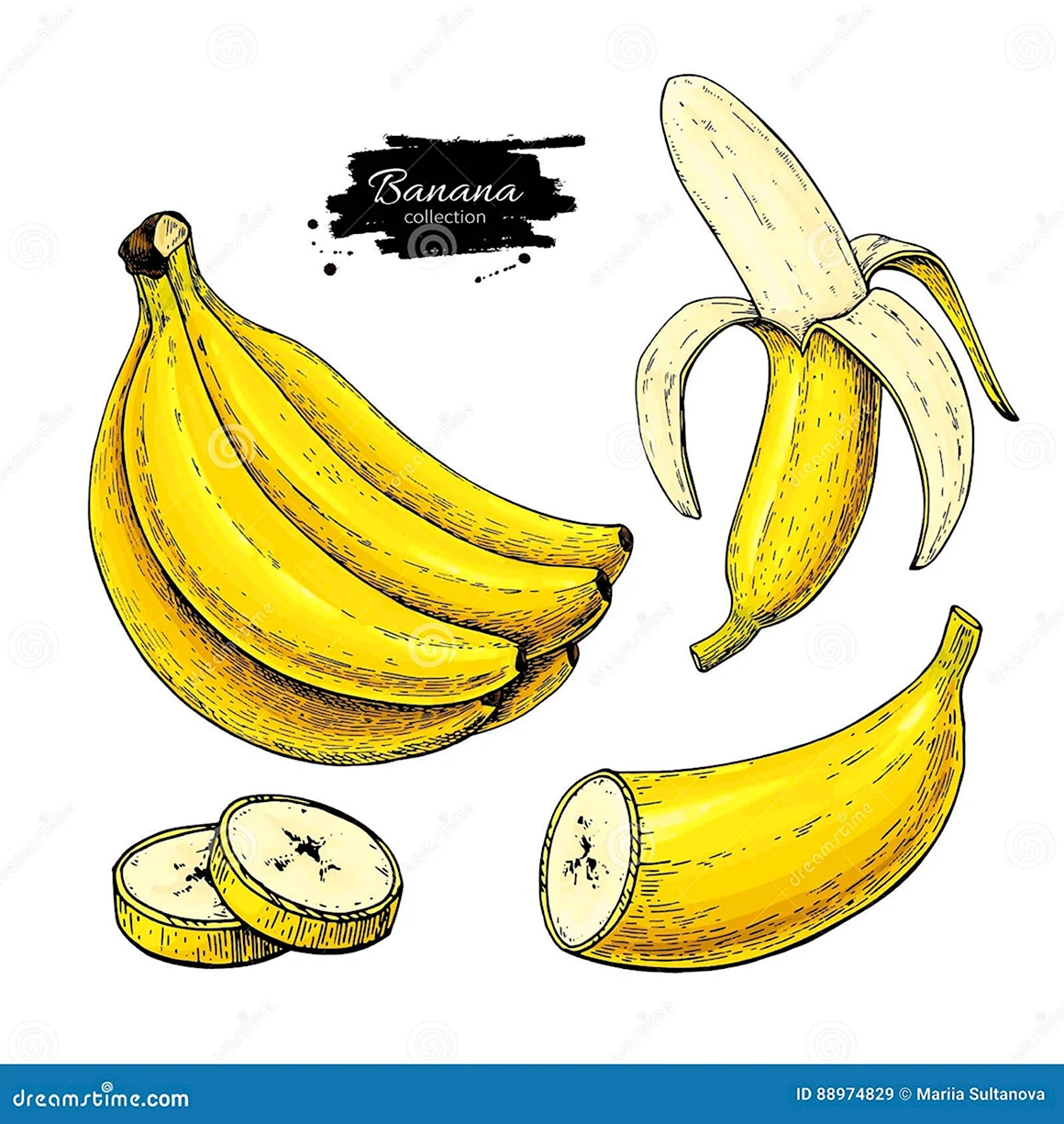 Банан в разрезе