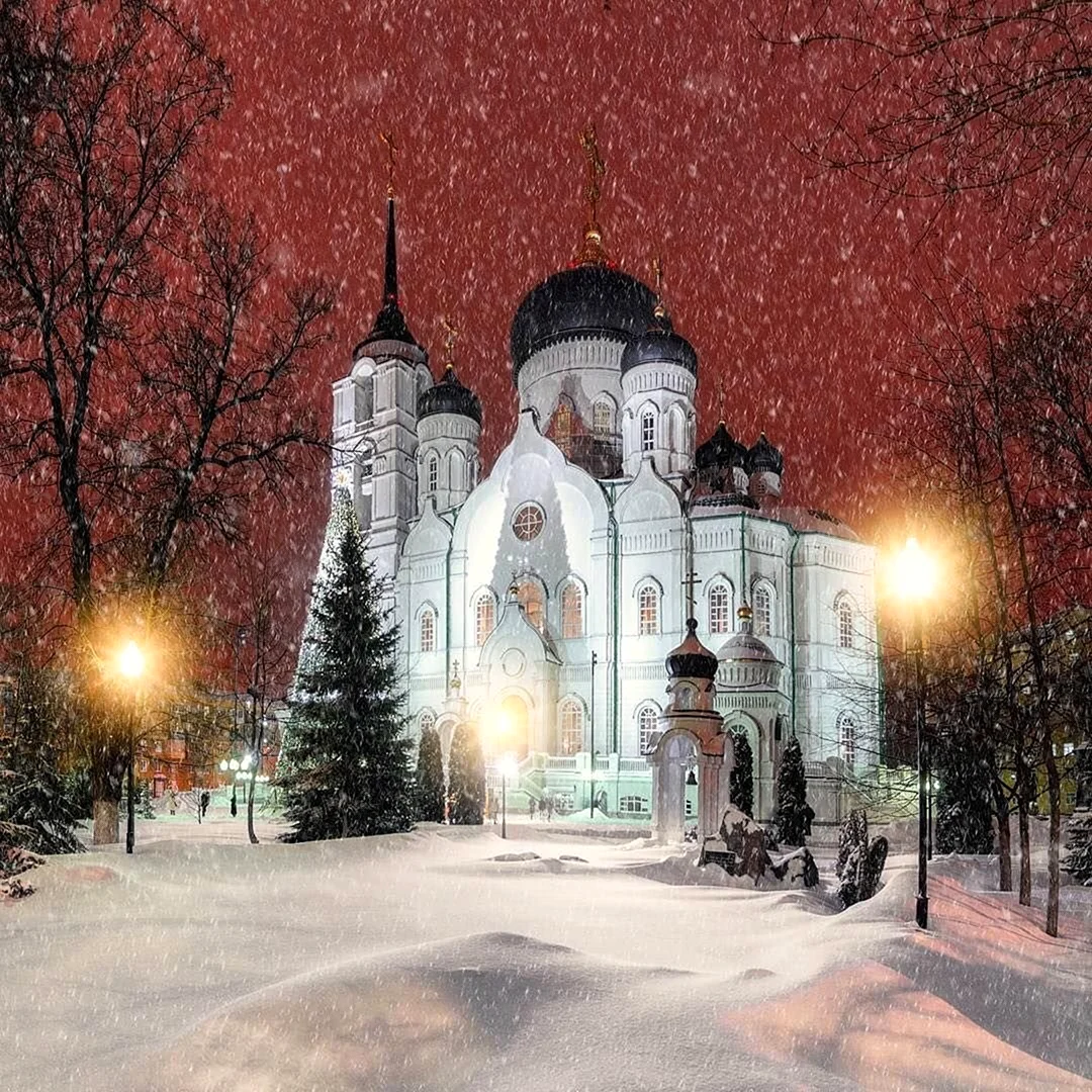 Благовещенский собор Воронеж зима