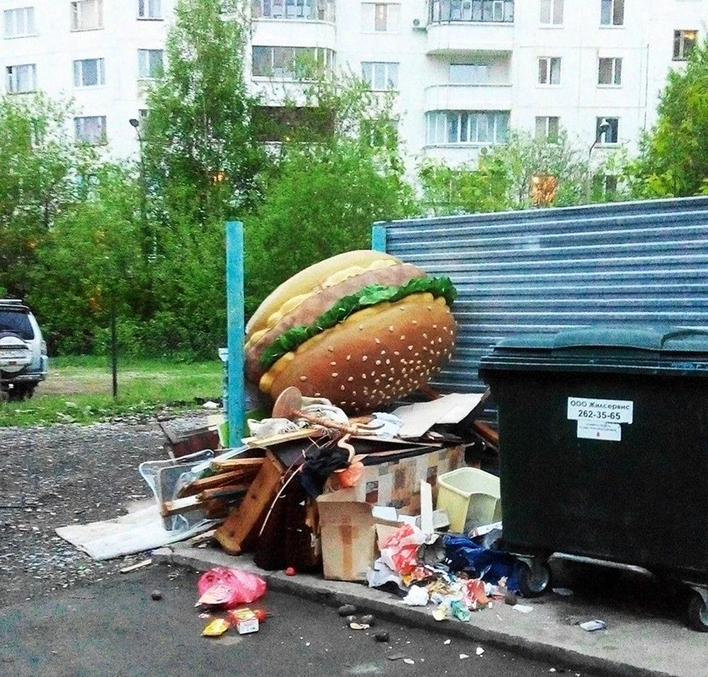 Бутерброд в мусорке