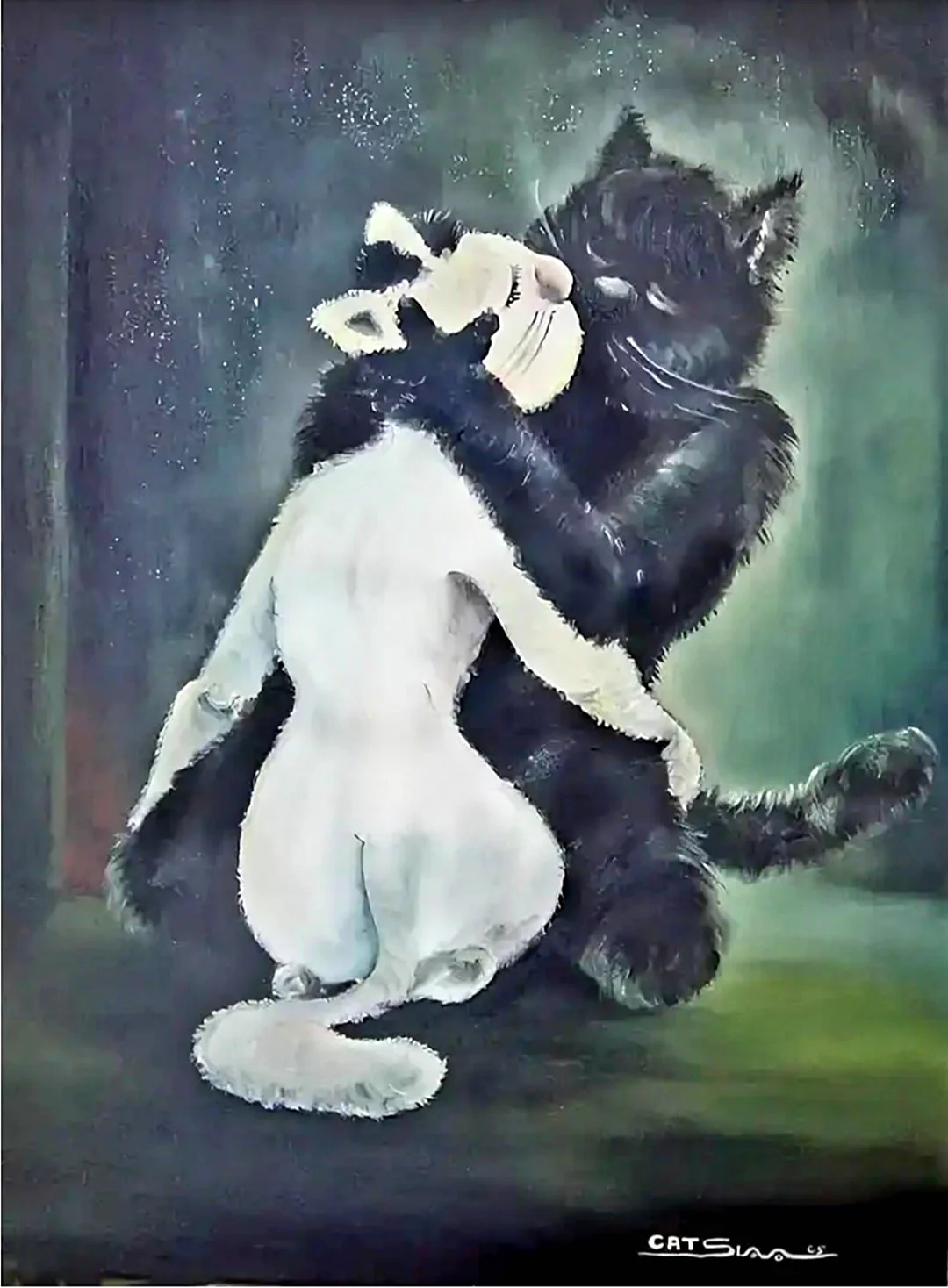 Черный и белый кот обнимаются