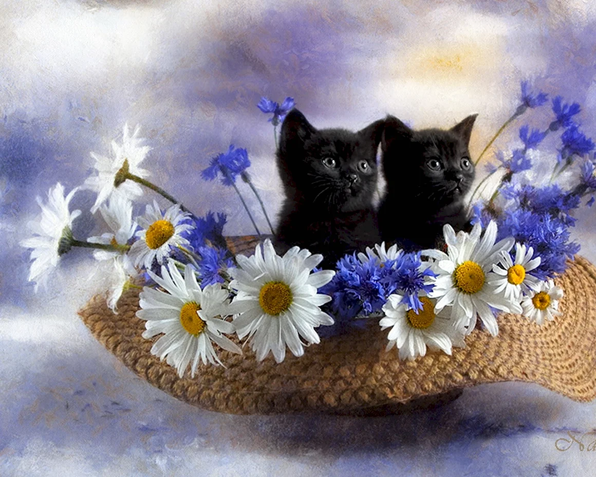 Черный котенок с цветочком