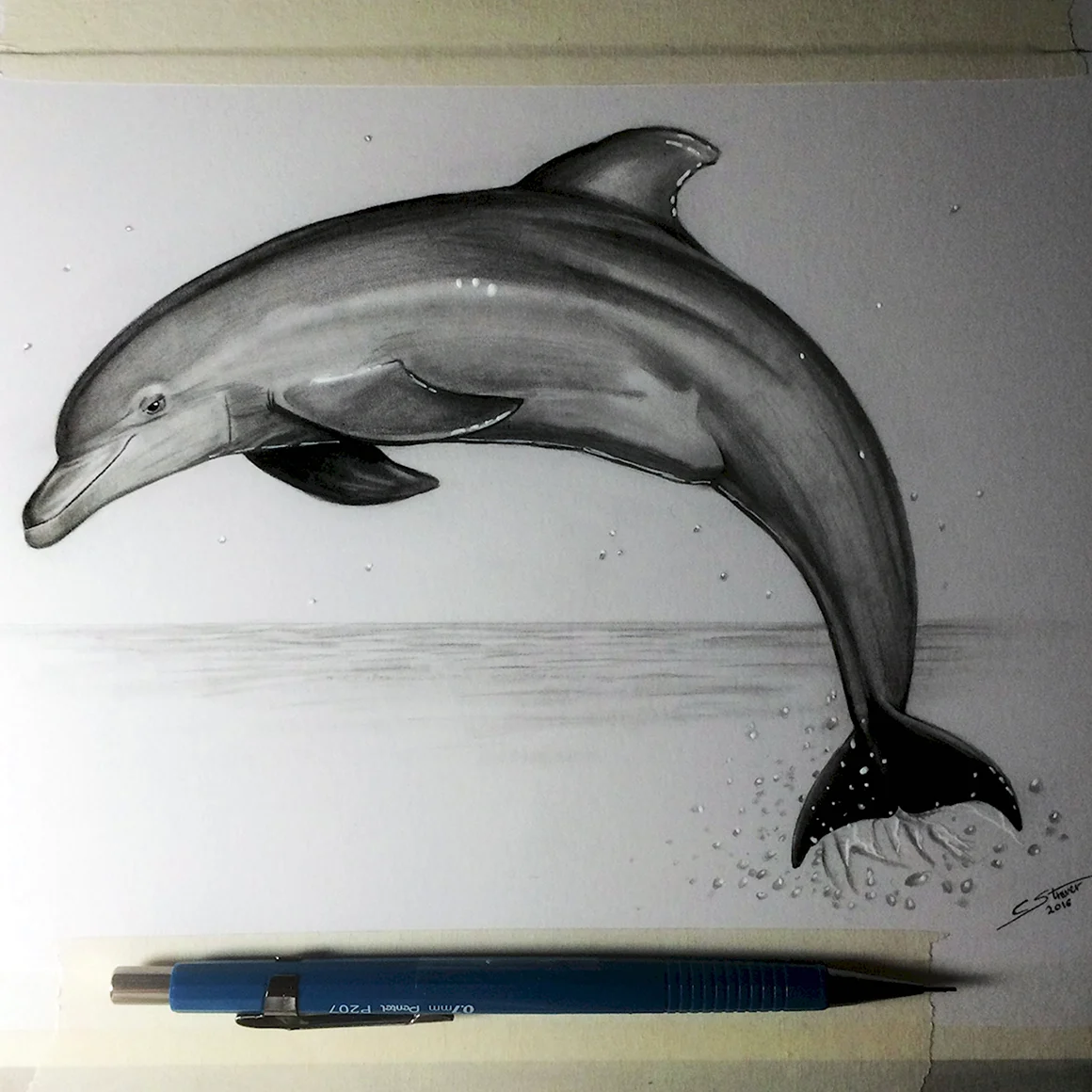 Дельфин карандашом