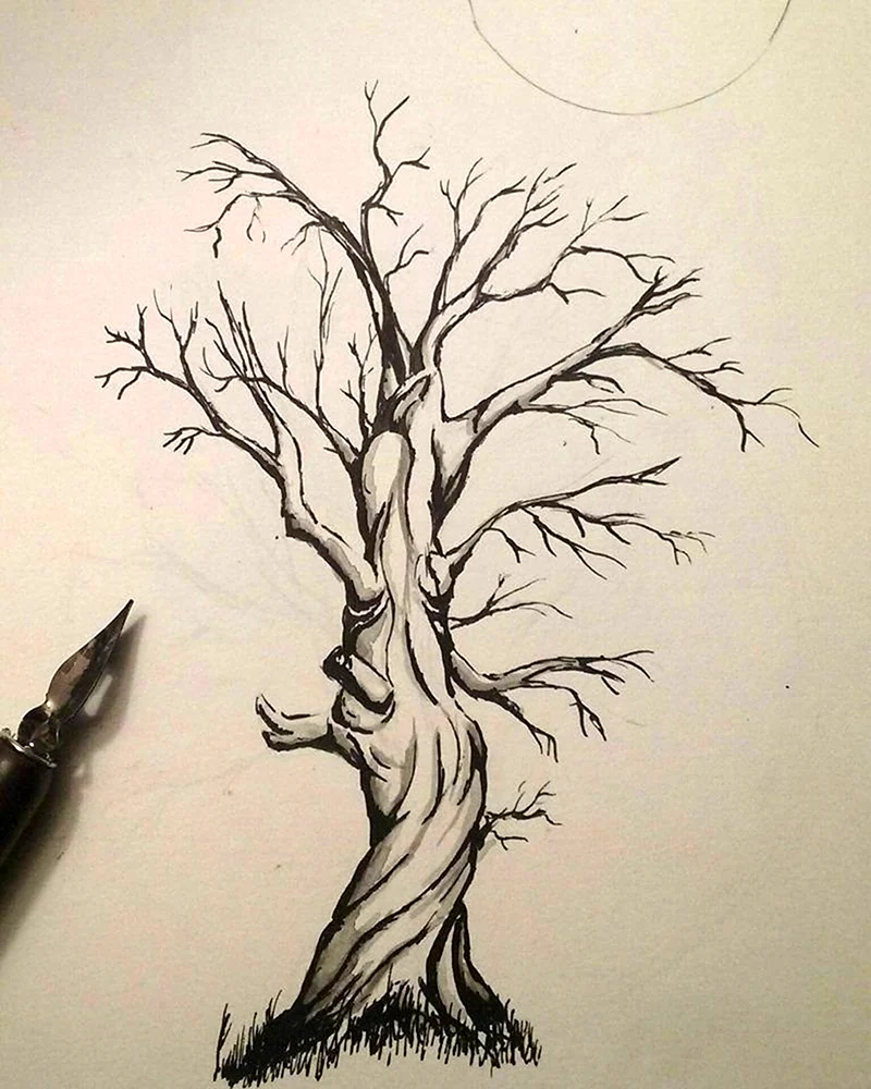 Дерево скетч