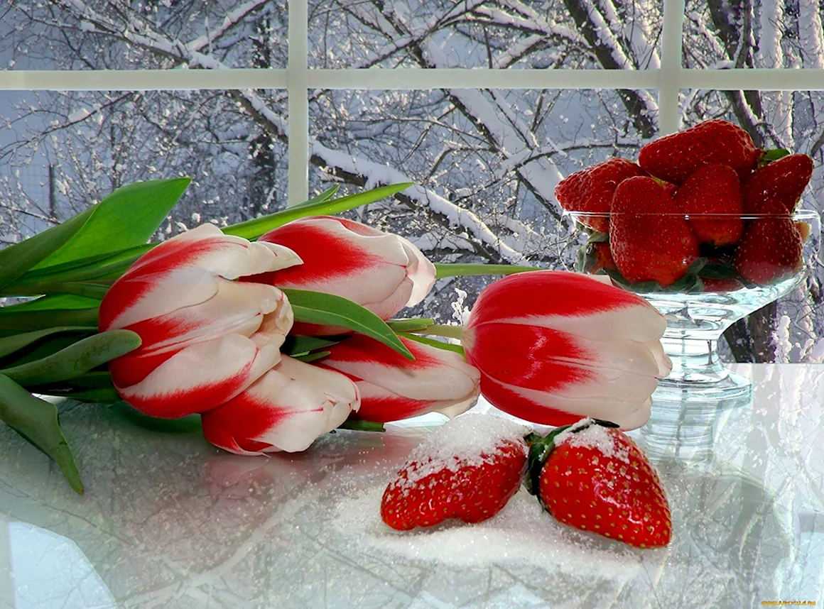Доброе утро тюльпаны и снег