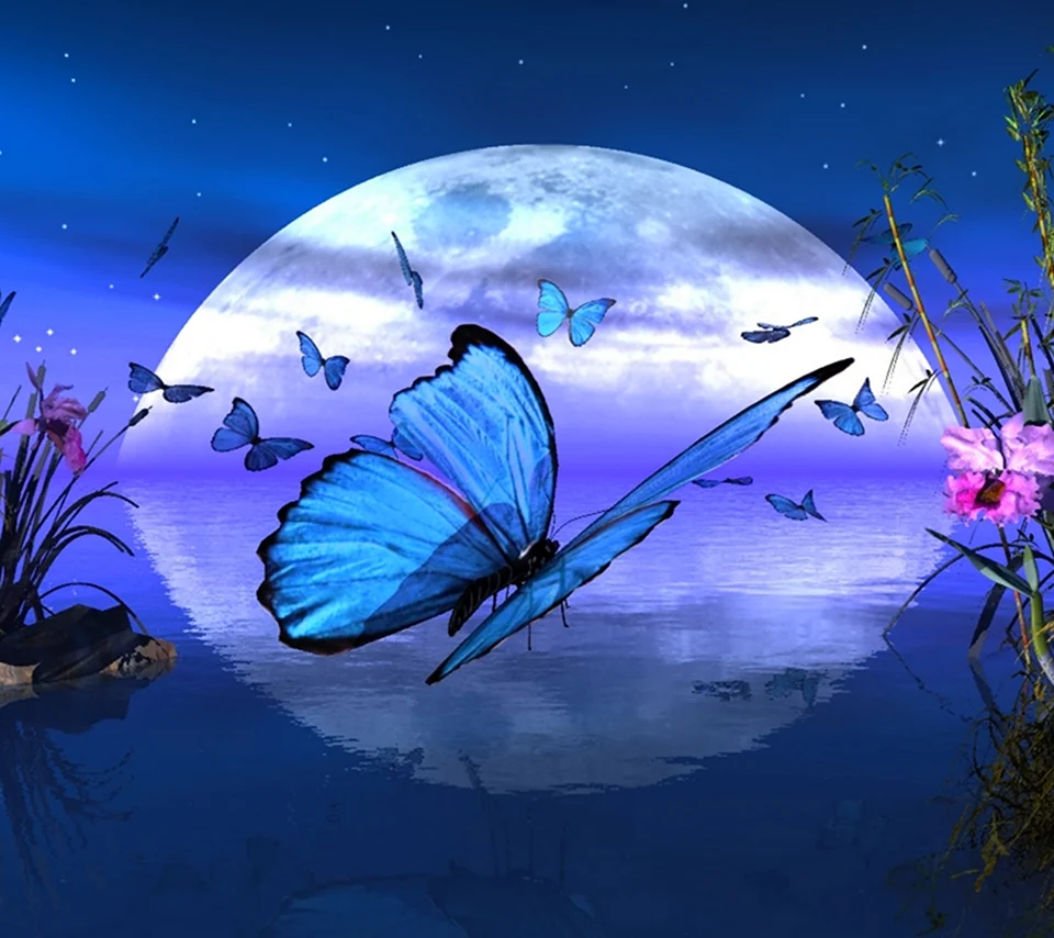 Доброй ночи с бабочками красивые