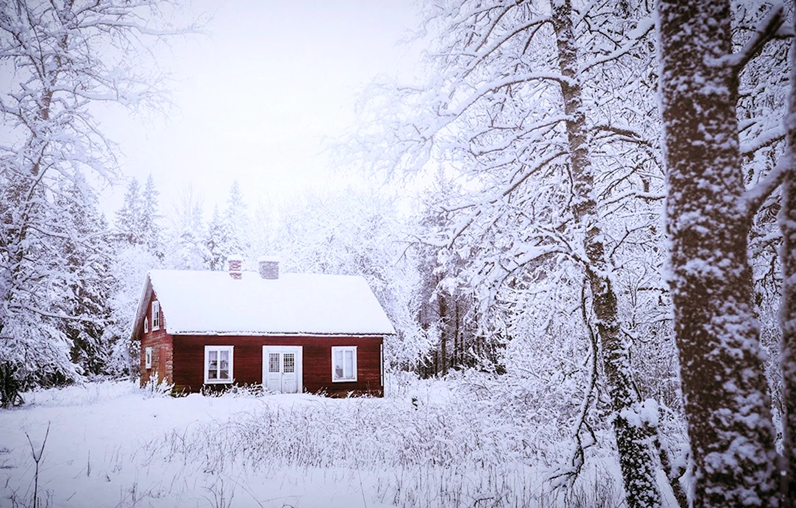 Дом в лесу зимой