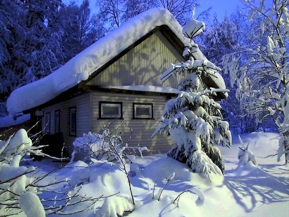 Дом в заснеженном лесу