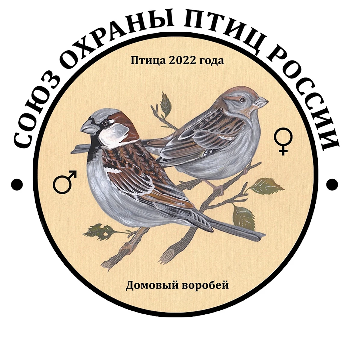 Домовой Воробей птица 2022 года