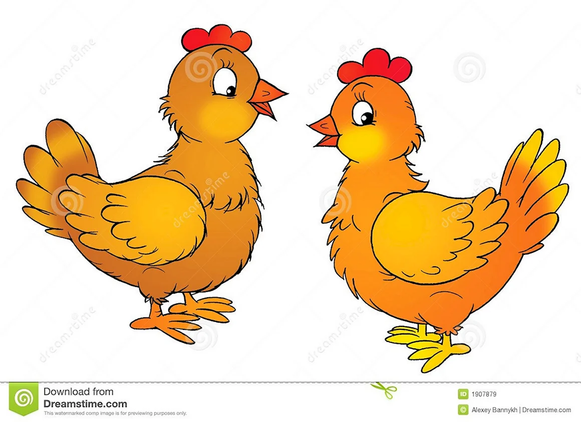 Две курицы для детей