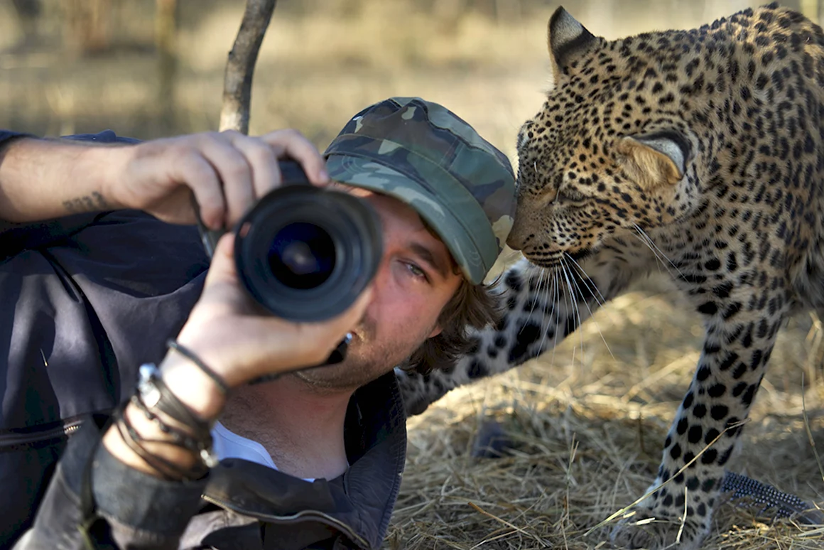 Энди Хоу - британский фотограф дикой природы