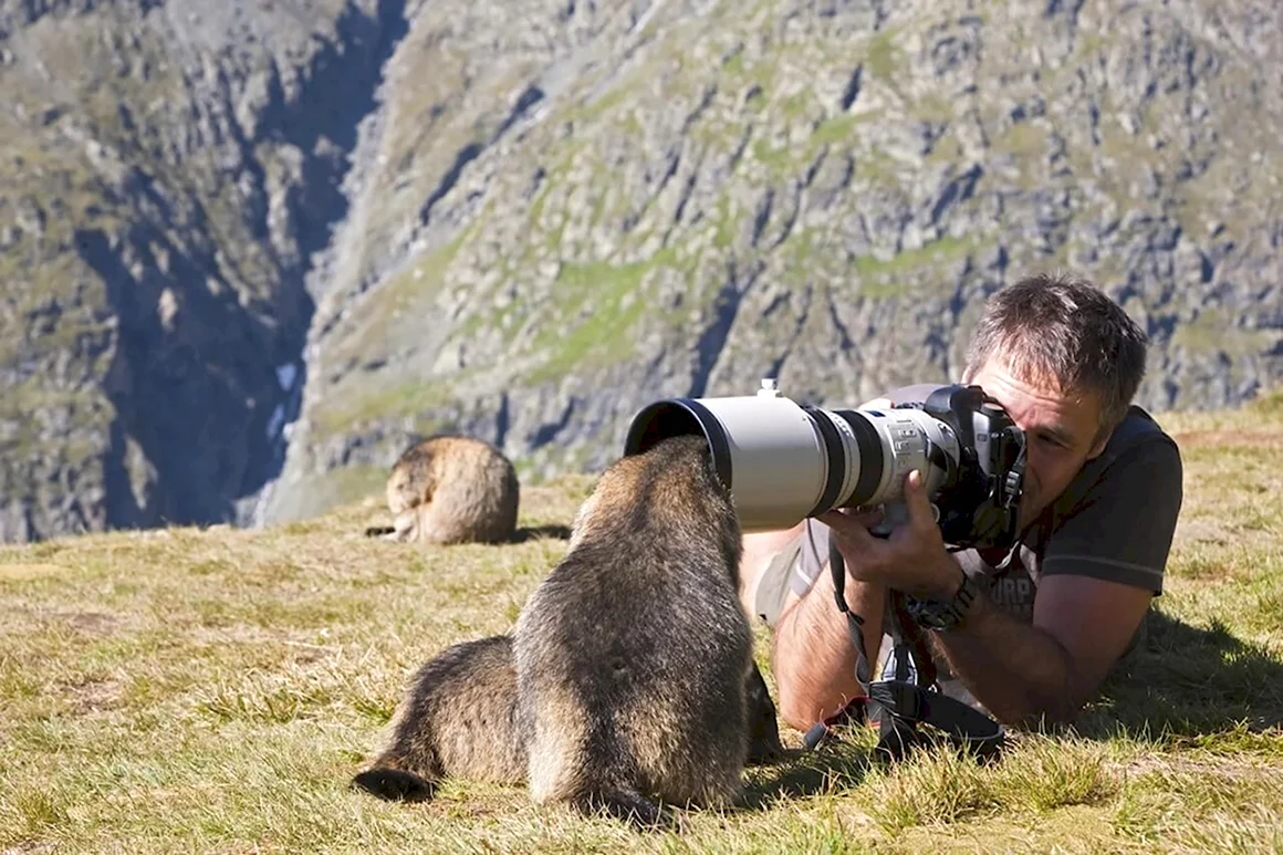 Энди Хоу - британский фотограф дикой природы