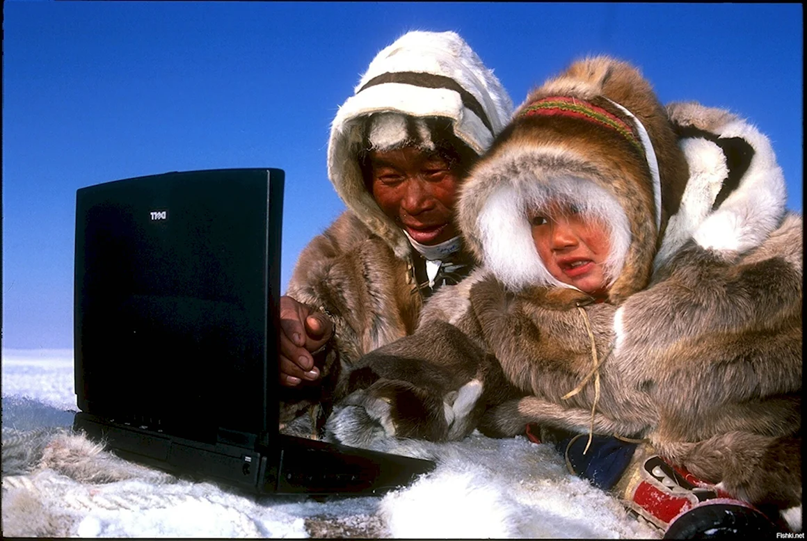 Эскимосы и интернет