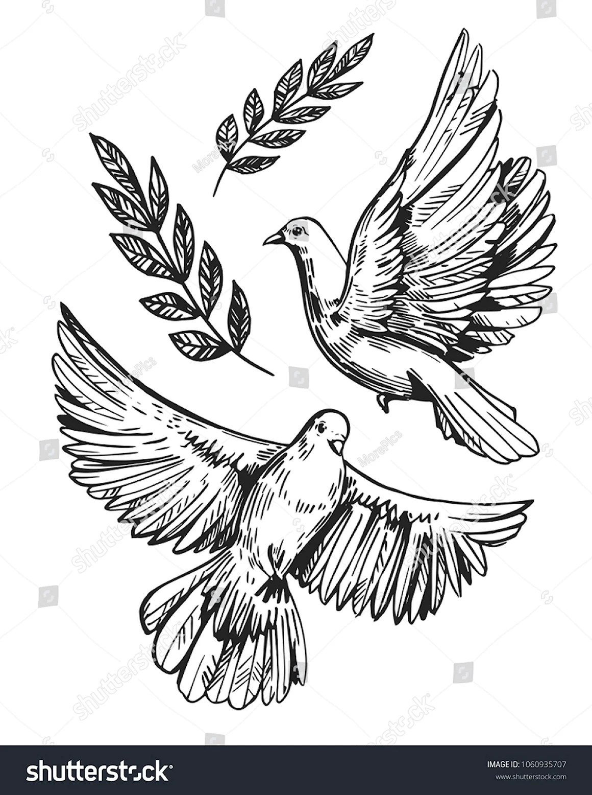 Эскиз тату голубь с ветвью оливы