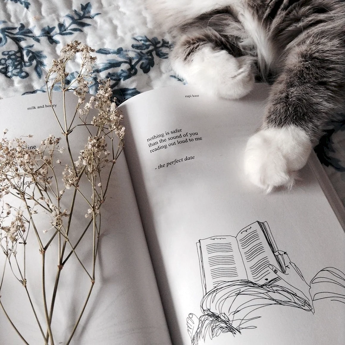 Эстетика книг и кота