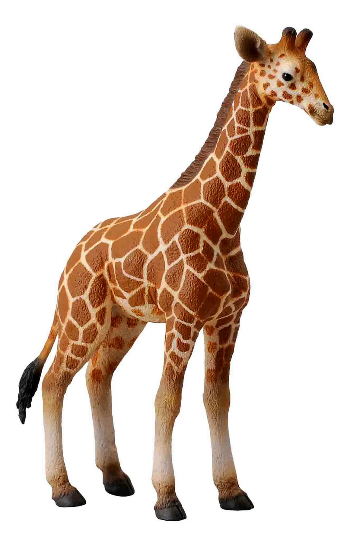 Фигурка Collecta жеребенок сетчатого жирафа 88535