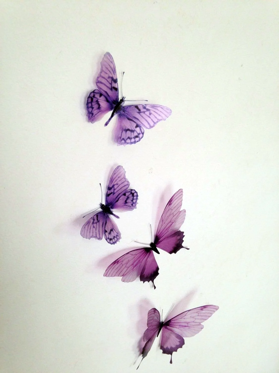 Фиолетовые бабочки Эстетика