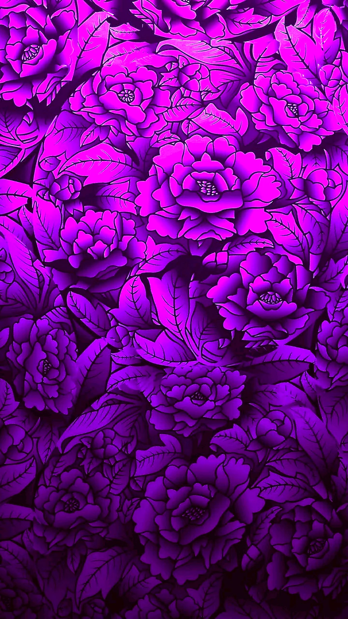 Фиолетовые пионы