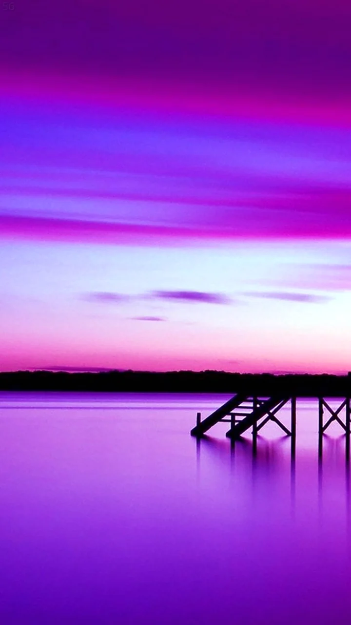Фиолетовый мост