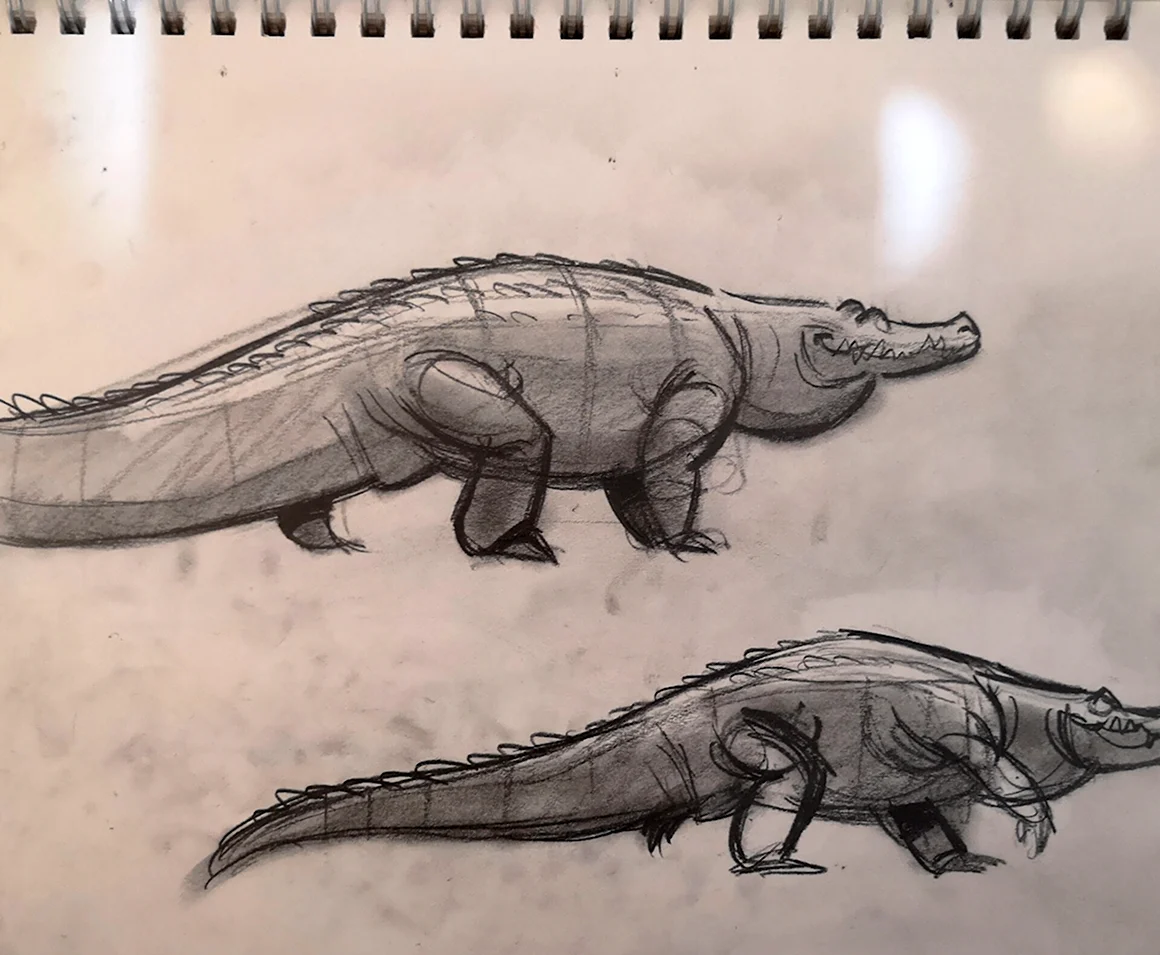 Фото как нарисовать крокодила