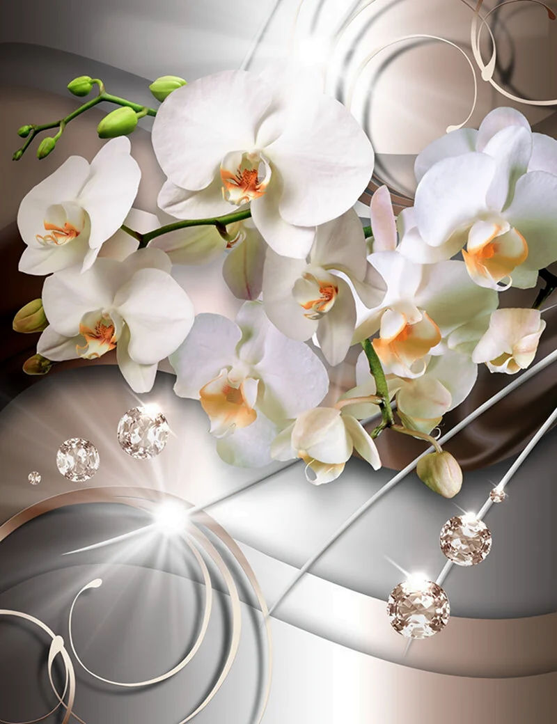 Фотообои белая Орхидея