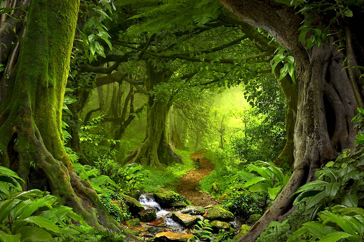 Фотообои сказочный лес
