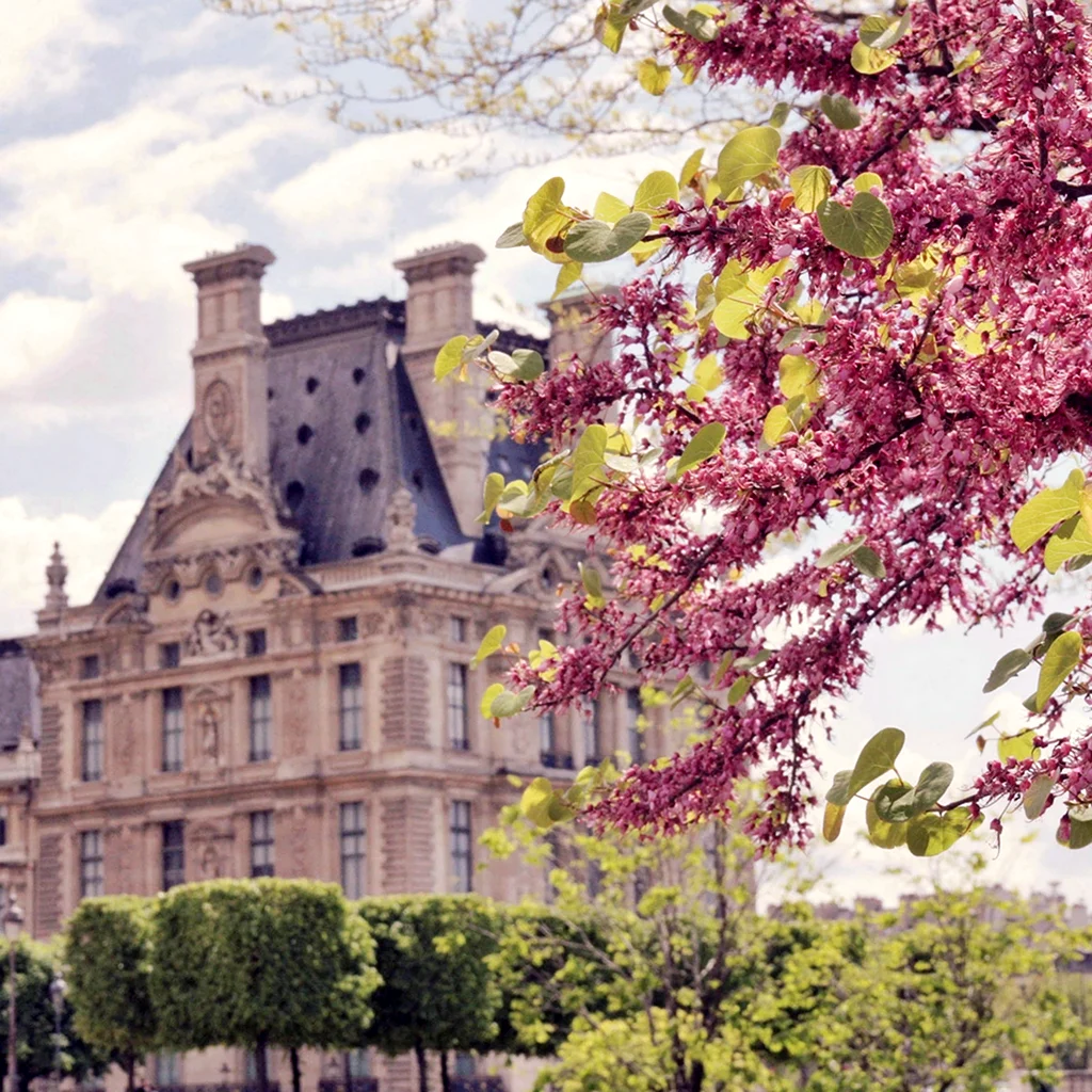 Франция замок Весна