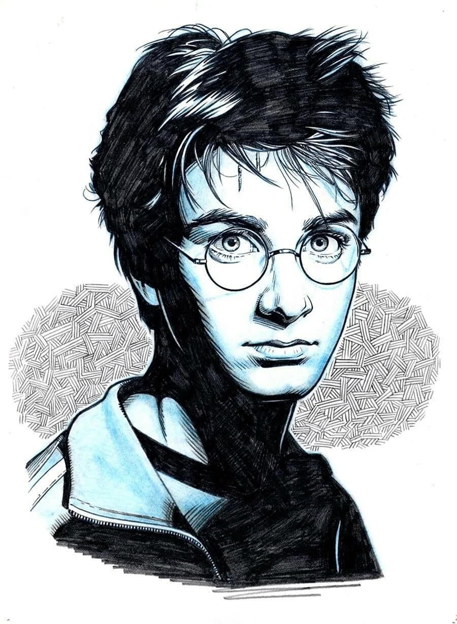 Гарри Поттер портрет