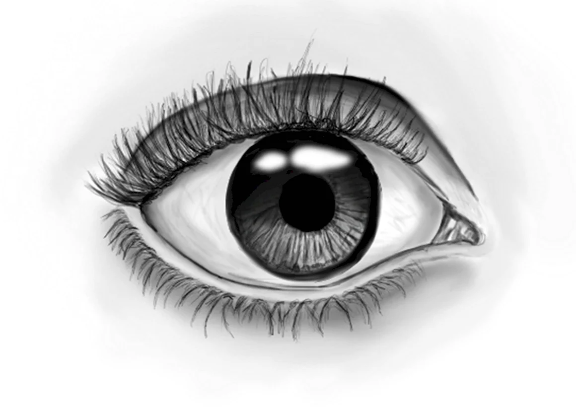 Глаз черно белый рисунок