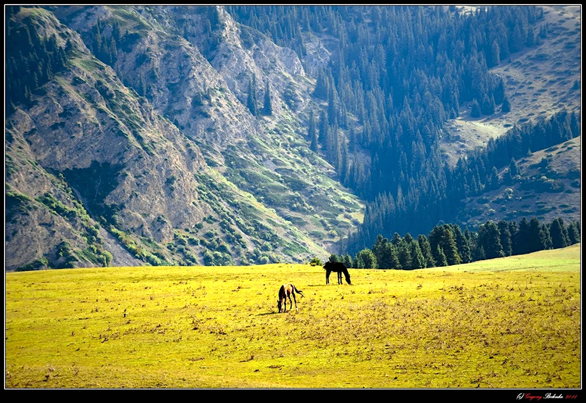 Горы Алатау в Монголии