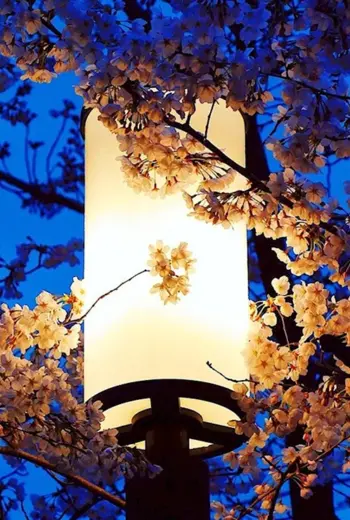 Японский фонарь