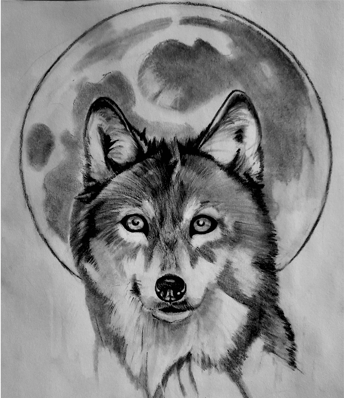 Идеи для рисования волк