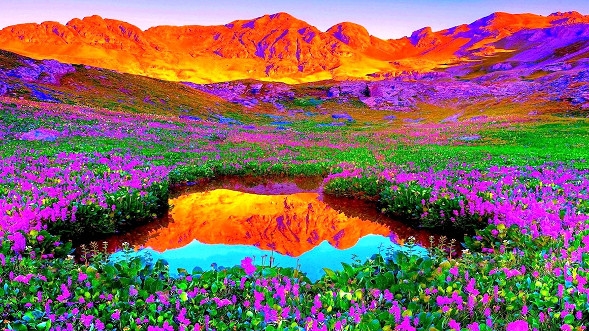 Индийский парк «Долина цветов»