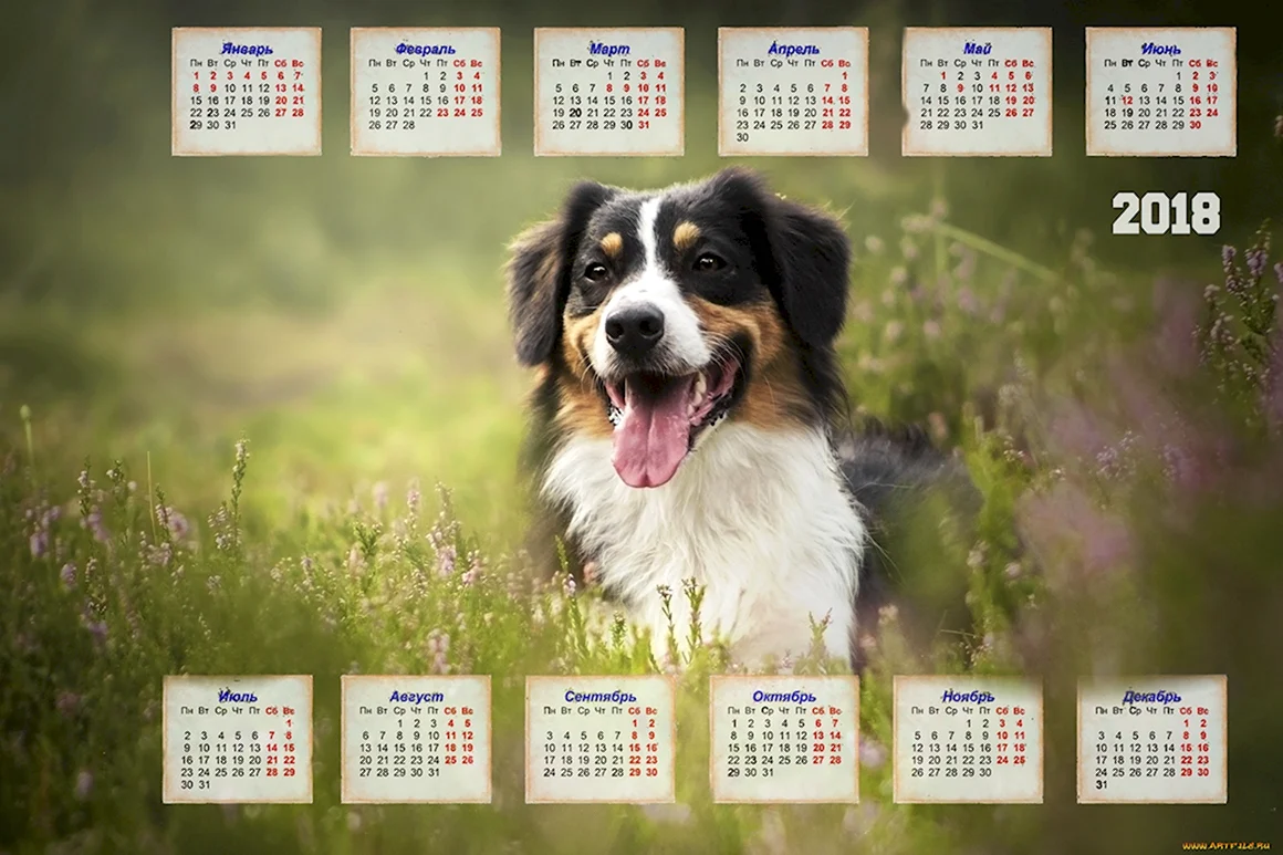 Календарь с животными