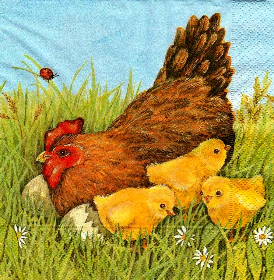 Картина курица с цыплятами