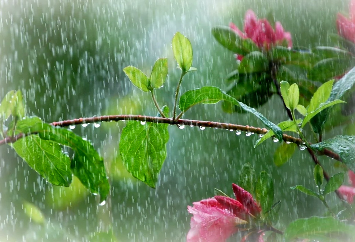 Картина весенний дождь Афанасий Фет