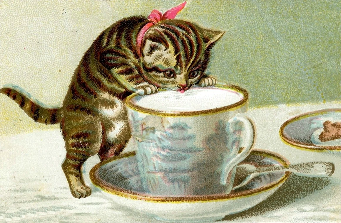 Картинка для декупажа кот в чашке