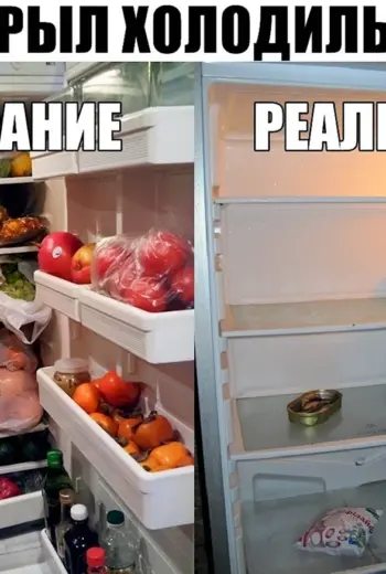 Холодильник прикол