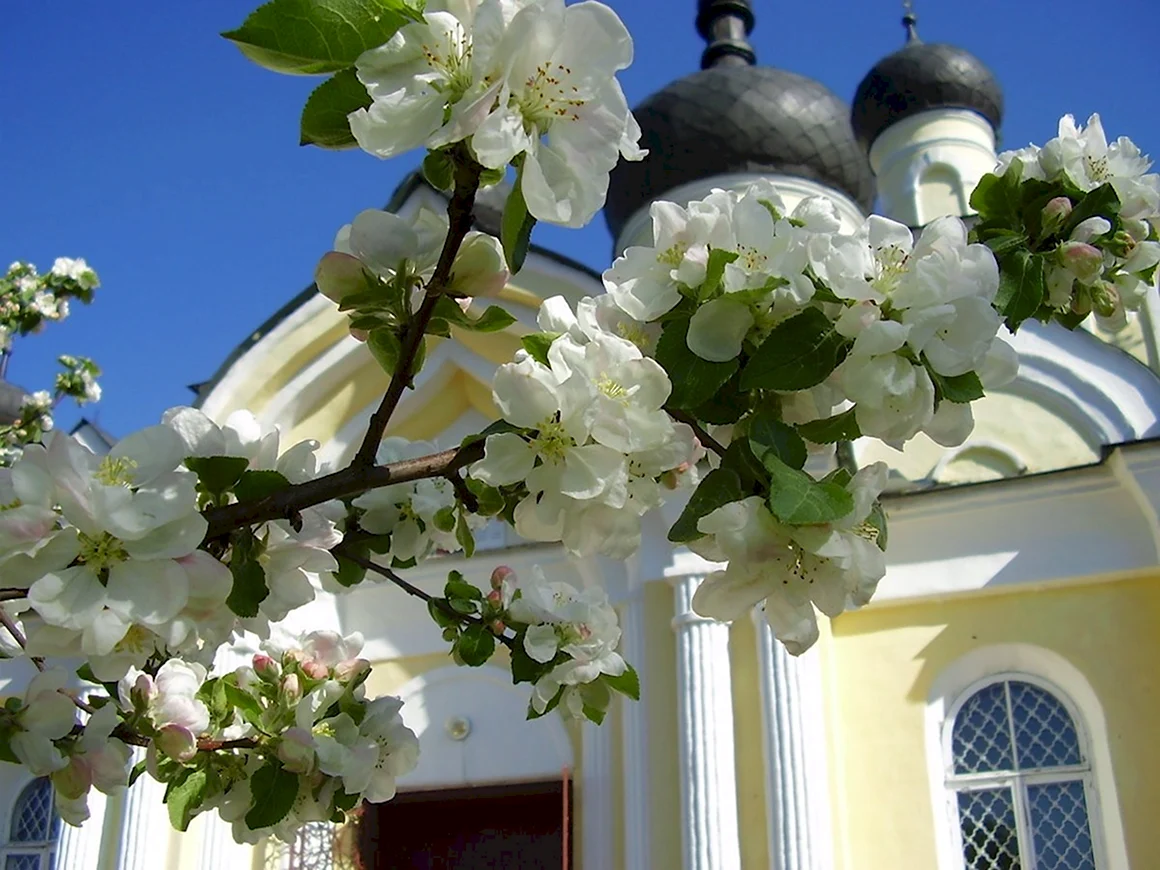 Храм в яблоневом цвету