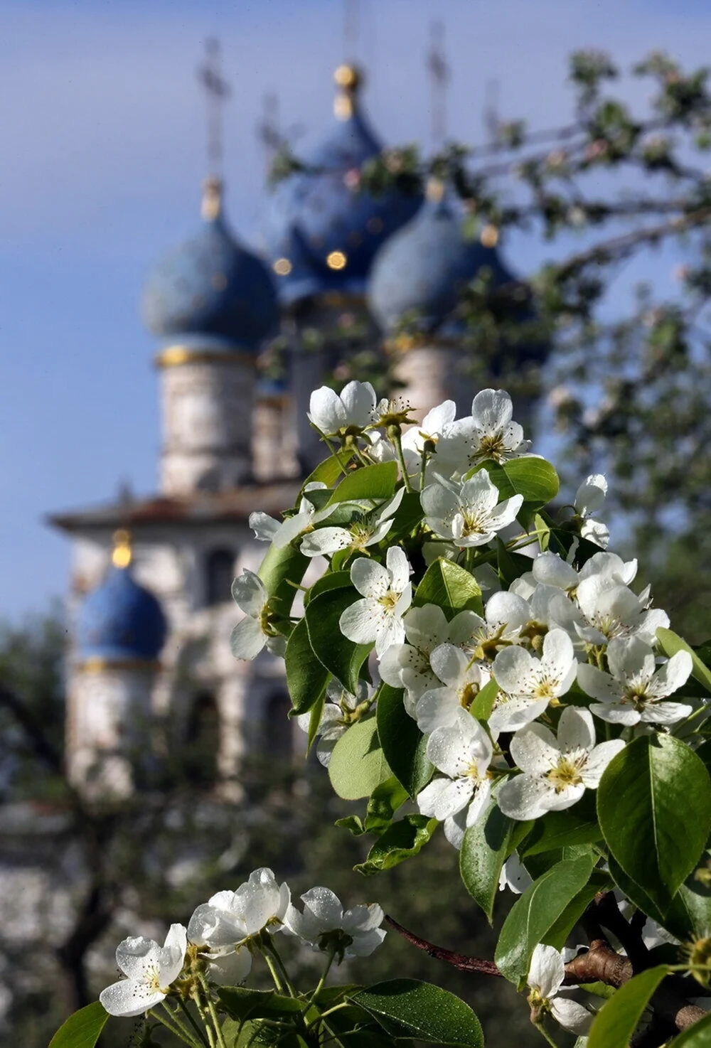 Храм Весна